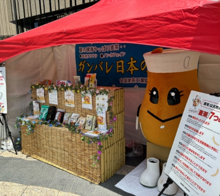 全国麦茶工業協同組合様　6月1日『麦茶の日』キャンペーン